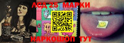 амф Новокубанск