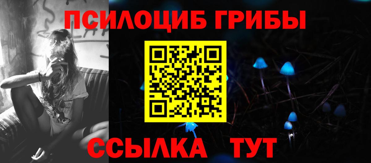 купить наркотик  Вход с VPN  Псилоцибиновые грибы мицелий  Тольятти  Галлюциногенные грибы Psilocybine cubensis 